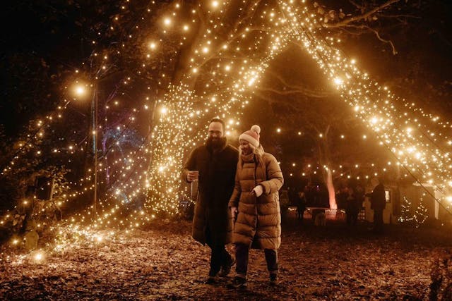 Windsor Great Park Illuminated